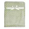 thumbnail image 1 of Modern Moments By Gerber Baby Boy Sage Sculpted Plush Blanket, Infant, 1 of 9