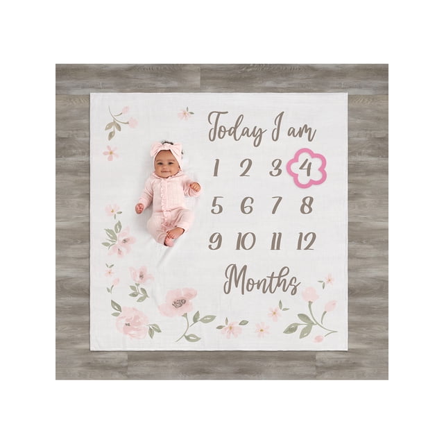 Modern Moments By Gerber Baby Girl Milestone Blanket & Frame Set, 2 ...