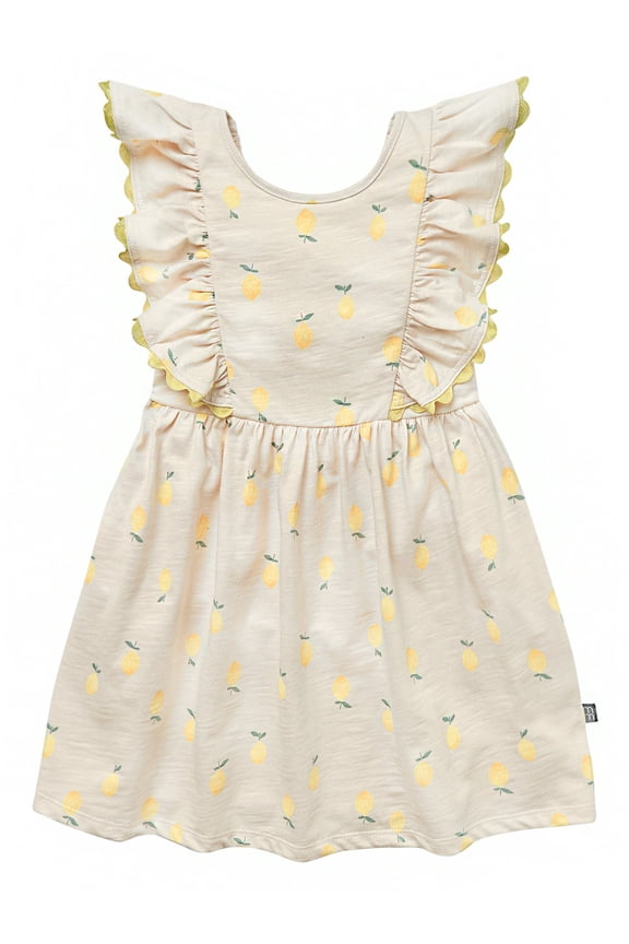 Toddler Girl Ruffle Sleeve Dress with RicRac Trim, Sizes 12M-5T