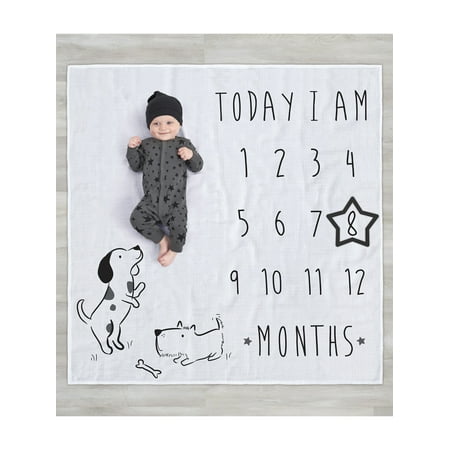 Modern Moments by Gerber Baby Boy Milestone Blanket & Frame Set, 2-Piece, White Puppies