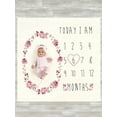 thumbnail image 1 of Modern Moments by Gerber Baby Girl Milestone Blanket & Frame Set, 2-Piece, Pink Roses, 1 of 6