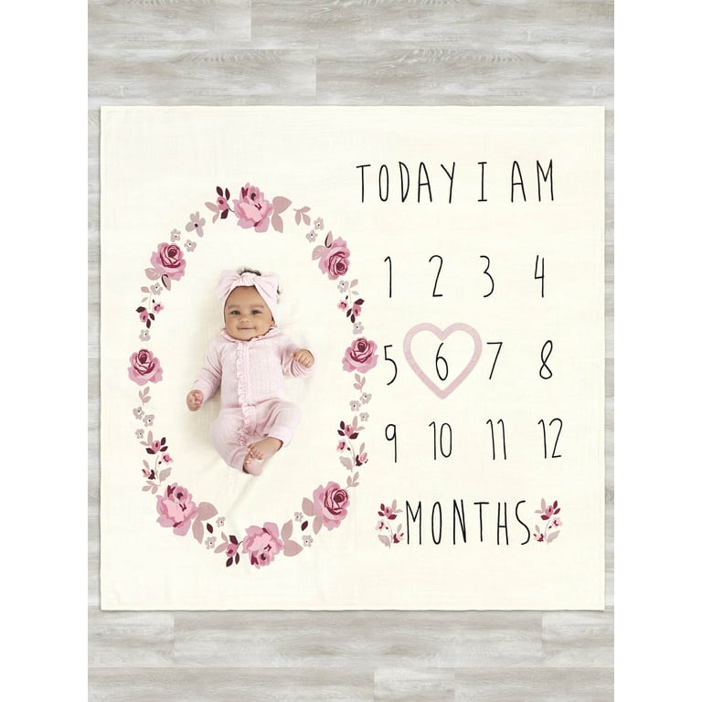 Modern Moments by Gerber Baby Girl Milestone Blanket Frame Set 2 Piece Pink Roses Walmart