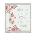 thumbnail image 1 of Modern Moments by Gerber Baby Girl Milestone Blanket & Frame Set, 2-Piece, Rose Floral, 1 of 6