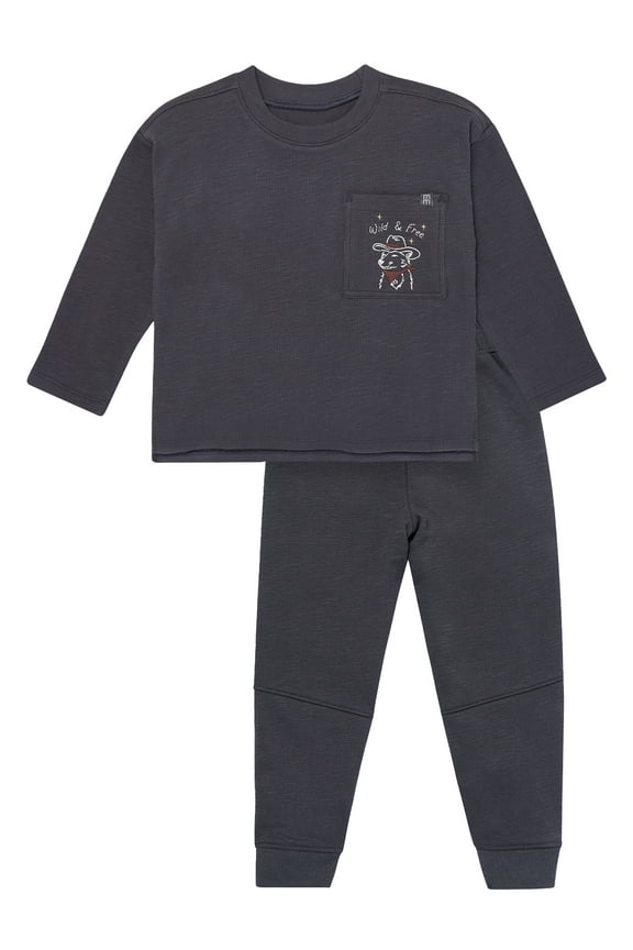 by Gerber Toddler Boy Organic Long Sleeve Tee and Sweatpant Outfit Set, Sizes 12 Months - 5T