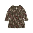 thumbnail image 1 of Modern Moments by Gerber Toddler Girl Dress with Neck Ruffle and Embroidery, Sizes 12 Months - 5T, 1 of 9