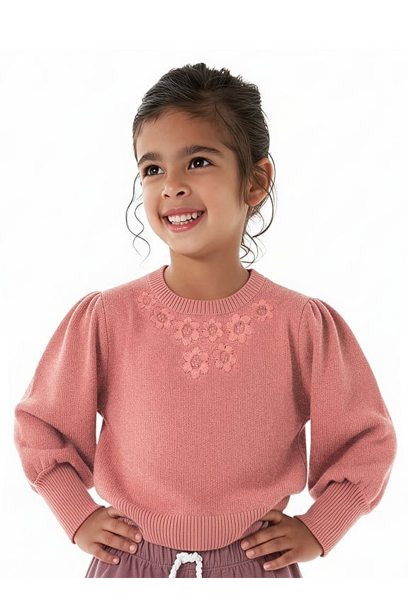 by Gerber Toddler Girl Embroidery Sweater, Sizes 12 Months -5T