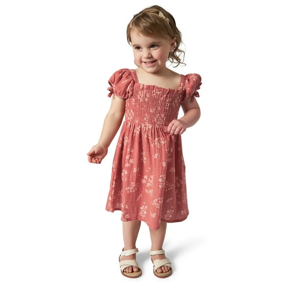 Modern Moments by Gerber Toddler Girl Smocked Dress with Bows, Sizes 12M-5T