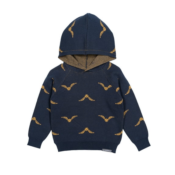 Modern Moments x Harry Potter Toddler Unisex Sweater Knit Hoodie, Sizes 12M-5T