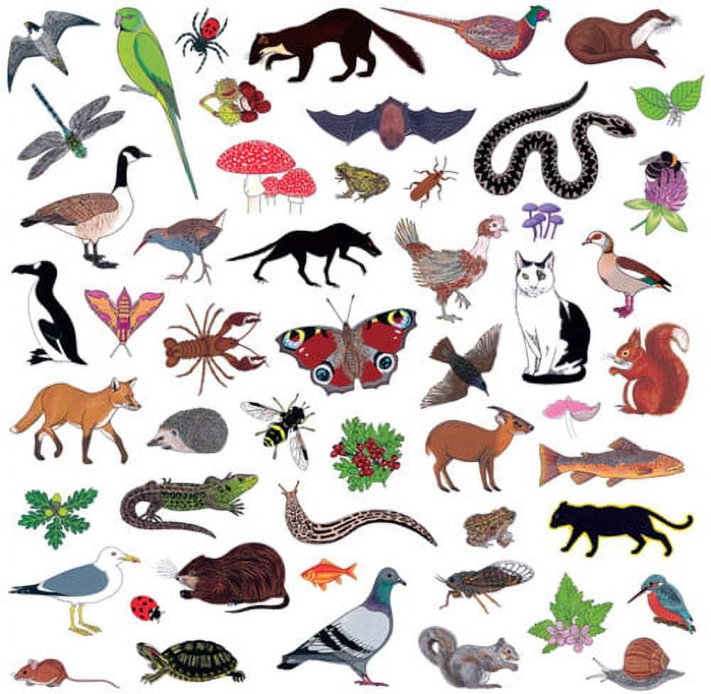 Modern Nature Island Of Noise Music & Performance Vinyl