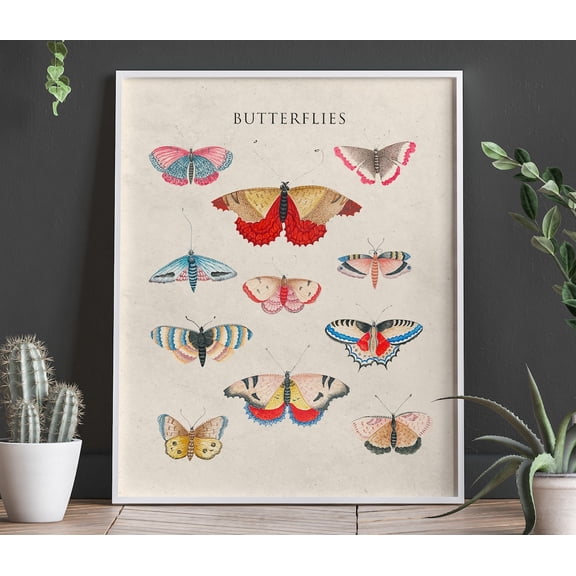 Modern Nature Wall Decor Butterfly Graphic Illustration Contemporary Home Art, Unframed Paper Poster 8x10in