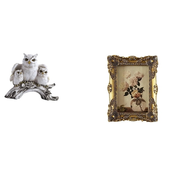 Modern Owl Statue Antique Baroque Frame Miniature Figurine Eco Friendly Resin Gift for Wedding Home Office