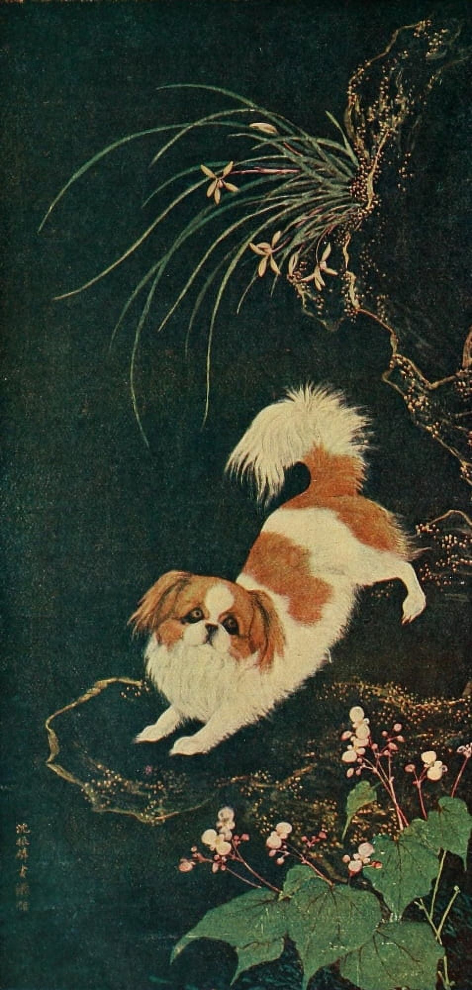 Modern Pekingese Dogs of China & Japan in Nature & Art 1921 Canvas Art - Shen Chen-Lin (18 x 24)