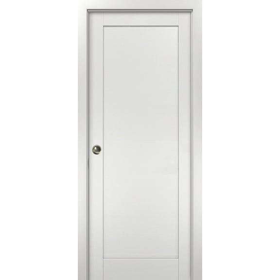 Modern Pocket Door 24 x 80 with Frames