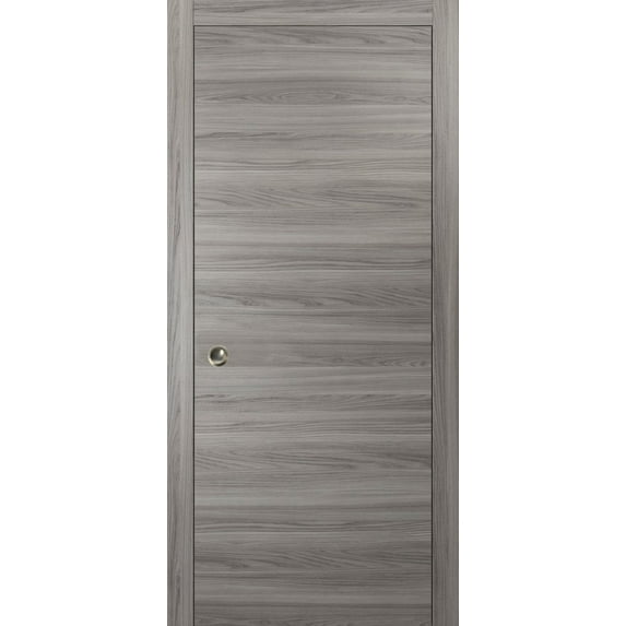 Modern Pocket Door 36 x 80