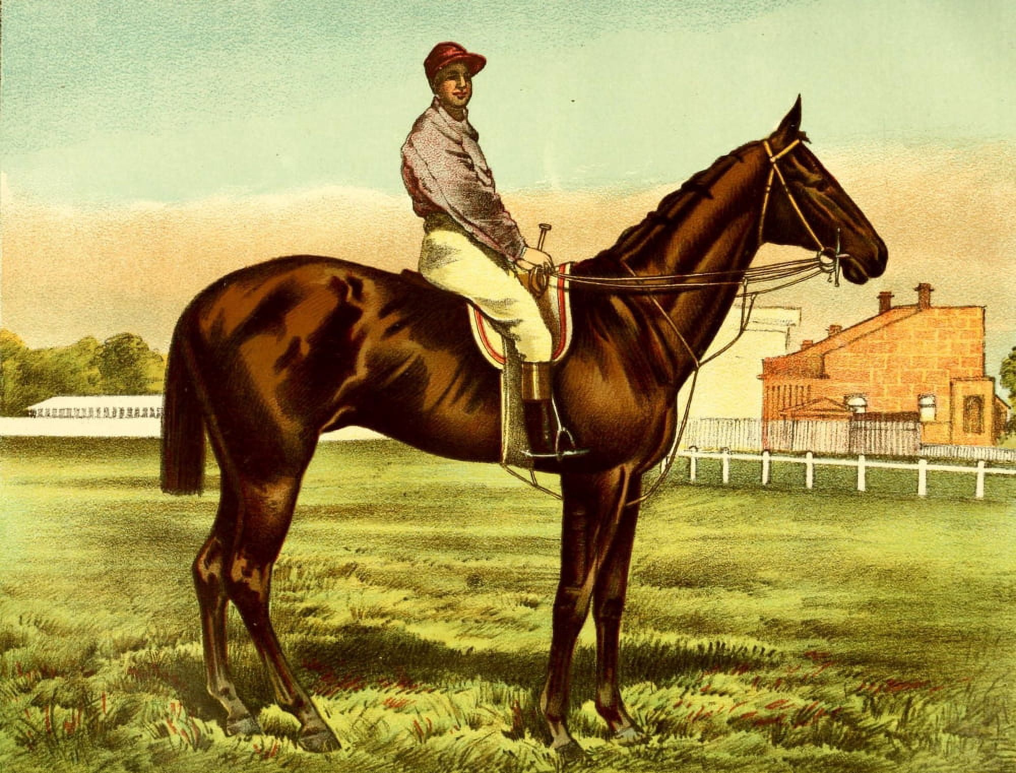 Modern Practical Farriery 1875 Galtee More Canvas Art - Unknown (18 x 24)