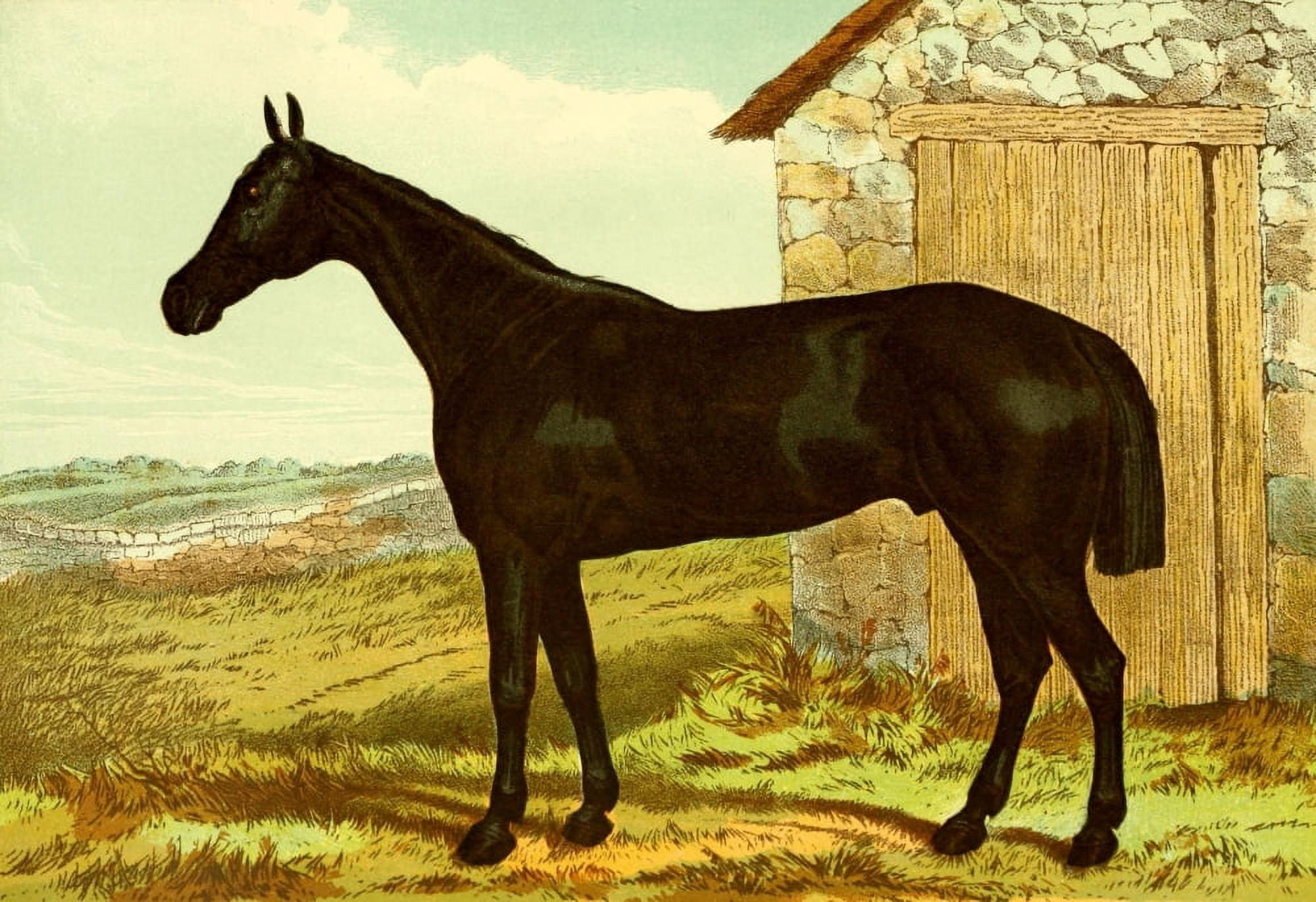 Modern Practical Farriery 1875 The Hunter Glengarry Canvas Art - Unknown (18 x 24)