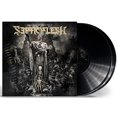 thumbnail image 1 of Modern Primitive (LP), 1 of 1