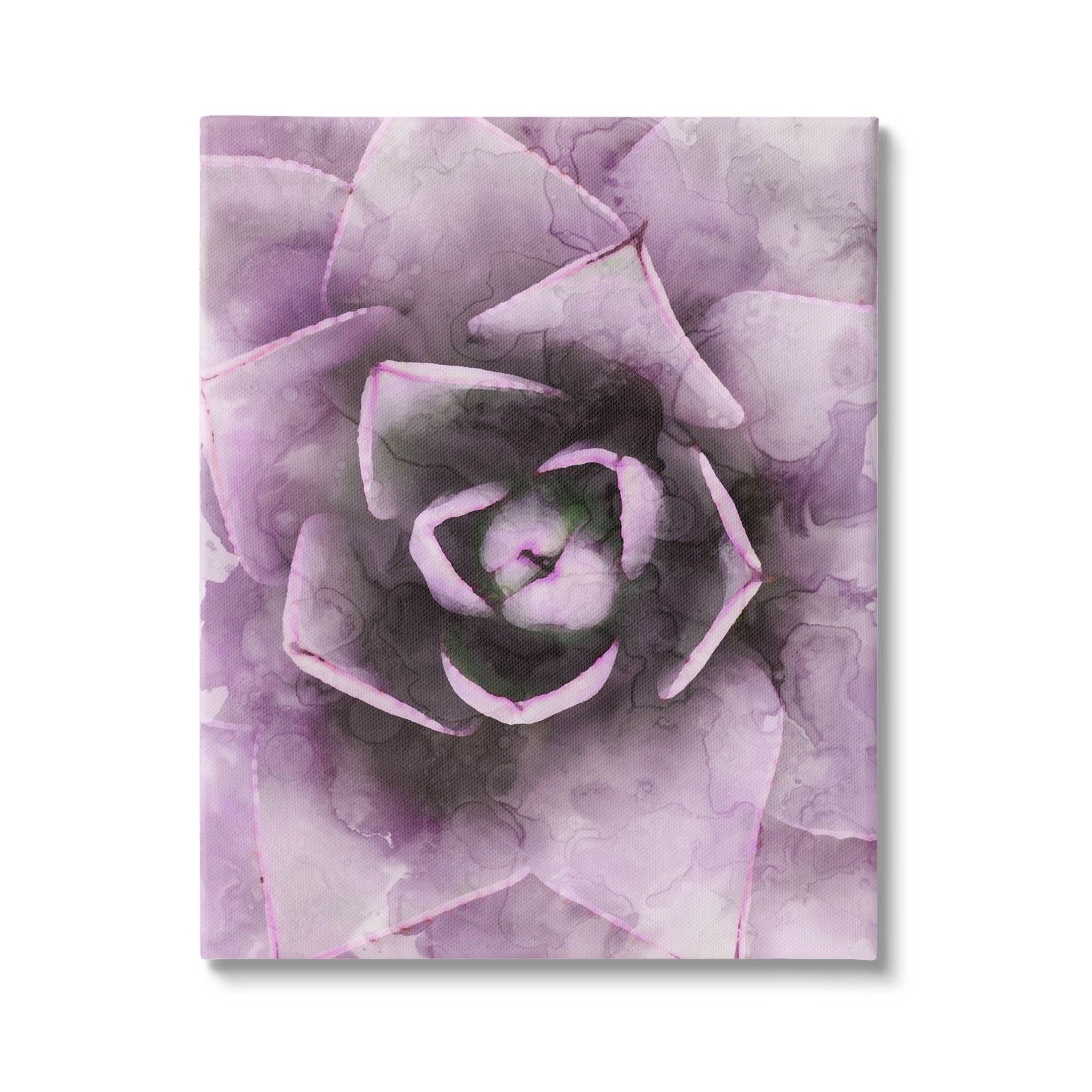 Modern Purple Succulent Leaves Botanical & Floral Graphic Art Gallery Wrapped Canvas Print Wall Art