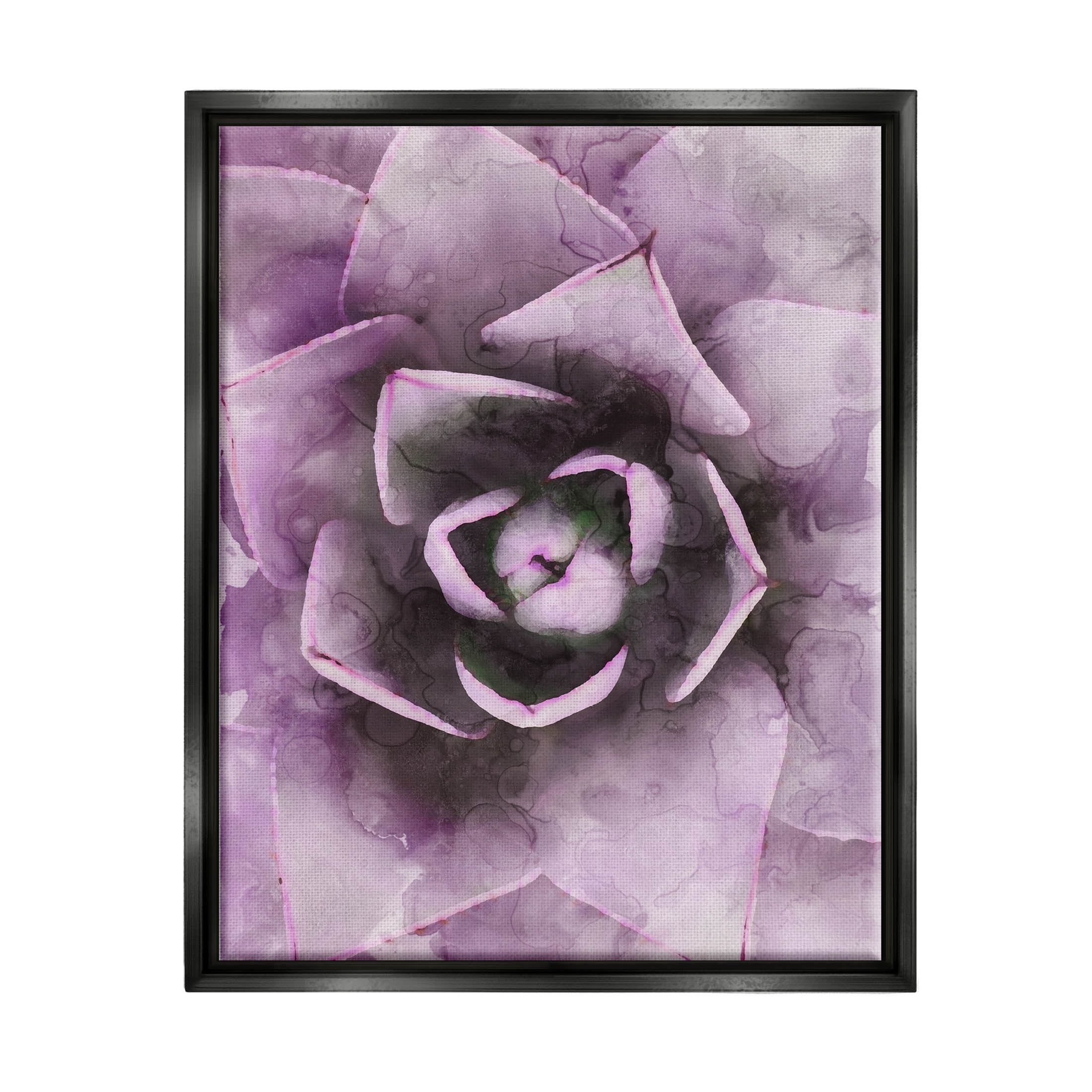 Modern Purple Succulent Leaves Botanical & Floral Graphic Art Jet Black Framed Art Print Wall Art