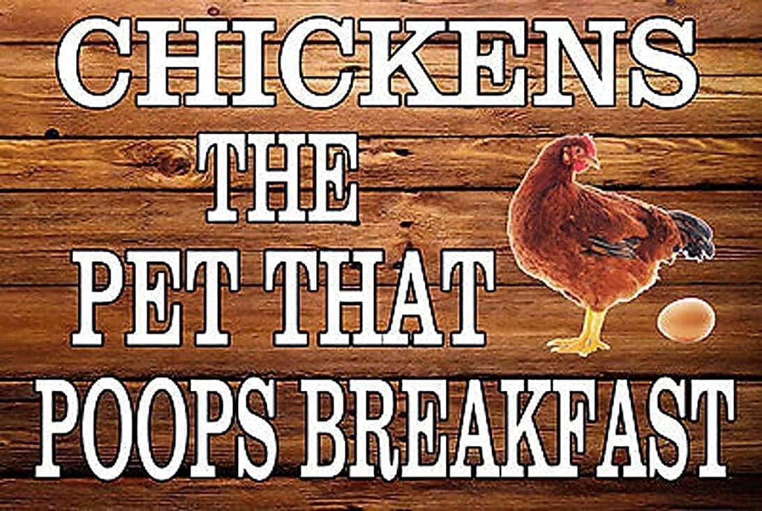 Picture of Modern Retro Metal - Chickens The Pet That Poop's Breakfast - Aluminum ...