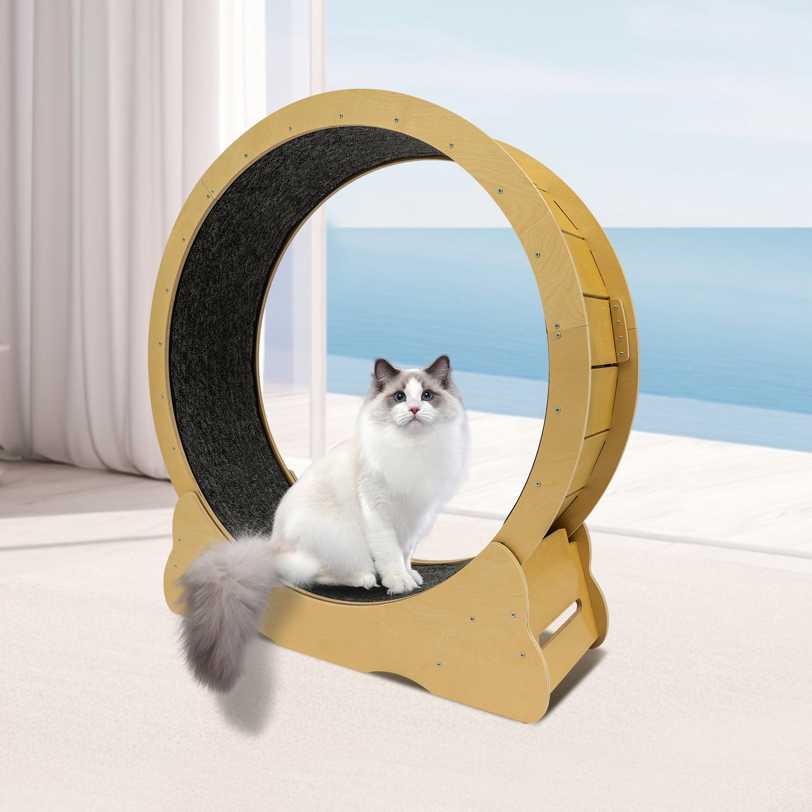 Modern Round Cat Wheel, Manual Cat Exercise Wheel, Cat Exercise Wheel ...