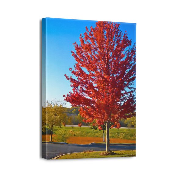 Modern Scenery Tree Prints - 12x16 Drawn Artwork for Bedroom, Office, Kitchen Wall Decorations - Brings Nature's Beauty Indoors