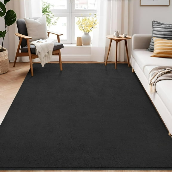 Modern Shag Area Rug for Bedroom, 4x6 Feet Washable Rugs for Living Room, Indoor Floor Carpet Rugs, Plush Memory Foam Bedside Rugs for Girls Teens Room Low Pile Rug Decor, Dark Grey
