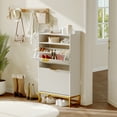 thumbnail image 1 of Modern Shoe Cabinet with 2 Flip Drawers & Open Storage Shelf,Shoes Rack with Adjustable Levels,Gold Metal Handles&Fluted Panel for Entryways, 1 of 7