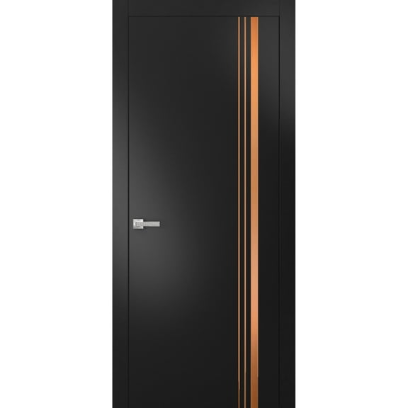 Modern Solid Interior Door with Handle | Planum 1010 Black Matte | Single Regural Panel Frame Trims | Bathroom Bedroom Sturdy Doors-36" x 96"