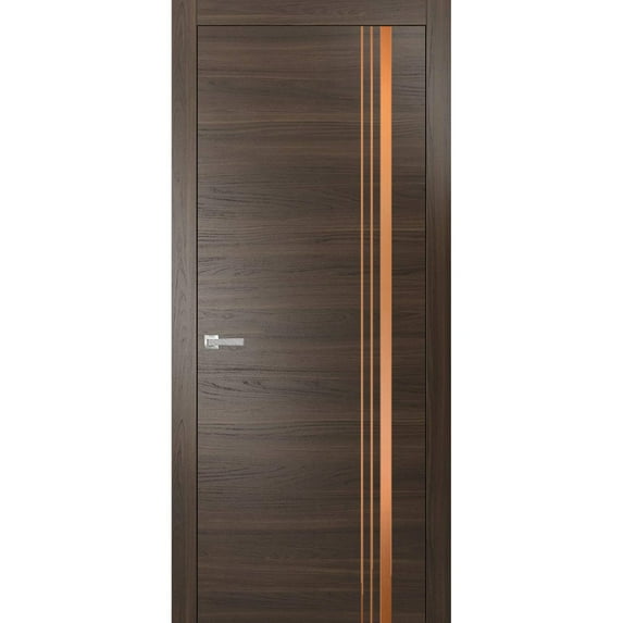 Modern Solid Interior Door with Handle | Planum 1010 Chocolate Ash | Single Regural Panel Frame Trims | Bathroom Bedroom Sturdy Doors-42" x 96"