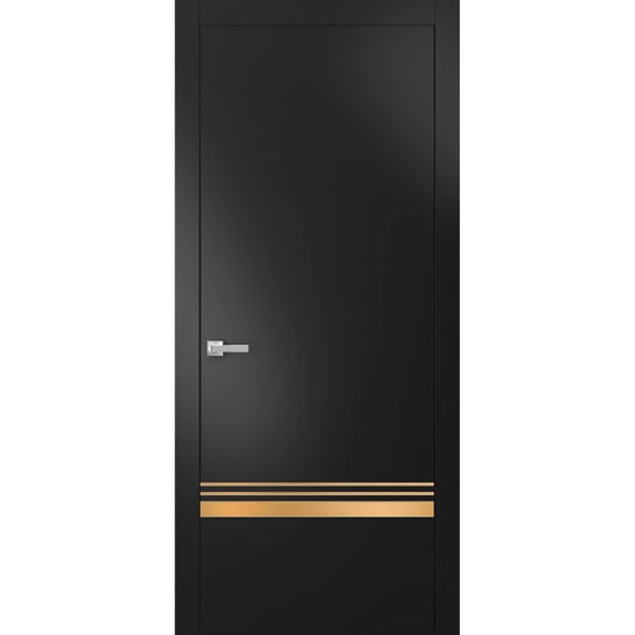Modern Solid Interior Door with Handle | Planum 2010 Black Matte | Single Regural Panel Frame Trims | Bathroom Bedroom Sturdy Doors-18" x 96"