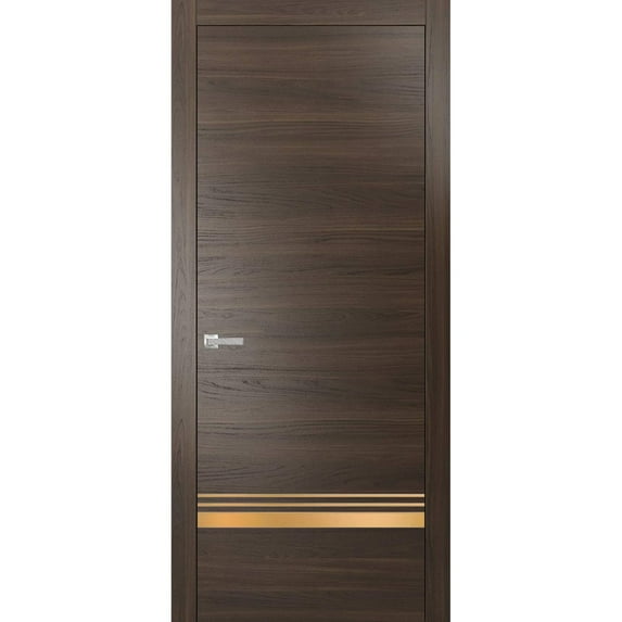 Modern Solid Interior Door with Handle | Planum 2010 Chocolate Ash | Single Regural Panel Frame Trims | Bathroom Bedroom Sturdy Doors-24" x 96"