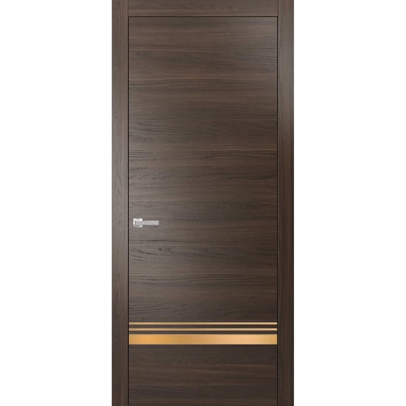 Modern Solid Interior Door with Handle | Planum 2010 Chocolate Ash | Single Regural Panel Frame Trims | Bathroom Bedroom Sturdy Doors-42" x 84"