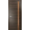 thumbnail image 1 of Modern Solid Interior Pre-Hung Door with Handle | Planum 1010 Chocolate Ash | Single Regural Panel Frame Trims | Bathroom Bedroom Sturdy Doors-36" x 80", 1 of 6