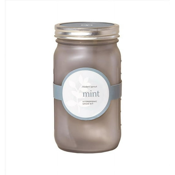 Modern Sprout 7006069 Mint Grow Kit
