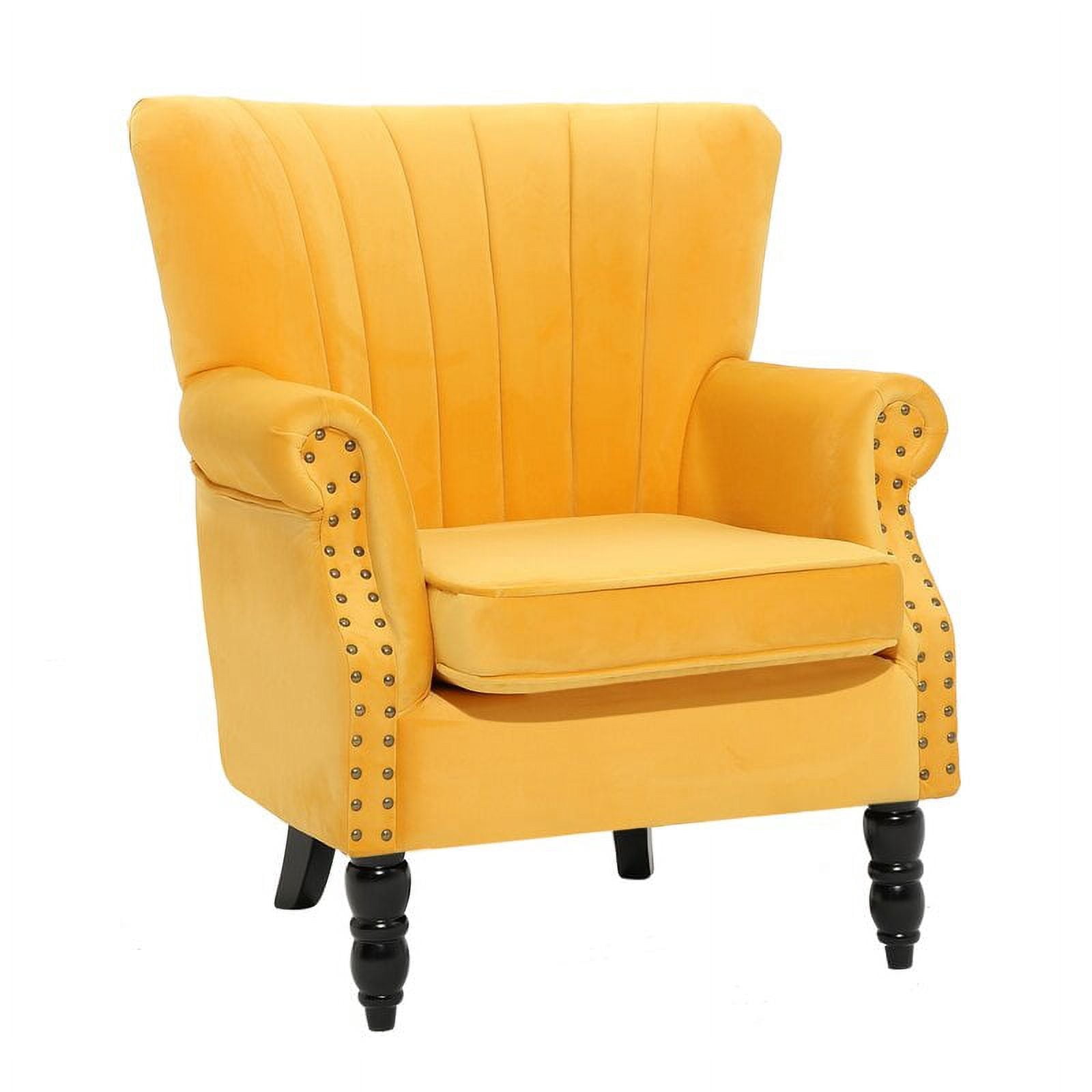 Modern Style Leisure Accent Chair for Living Room, Classic Upholstered