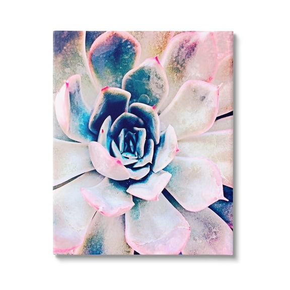 Modern Succulent Plant View Botanical & Floral Photograph Gallery Wrapped Canvas Print Wall Art