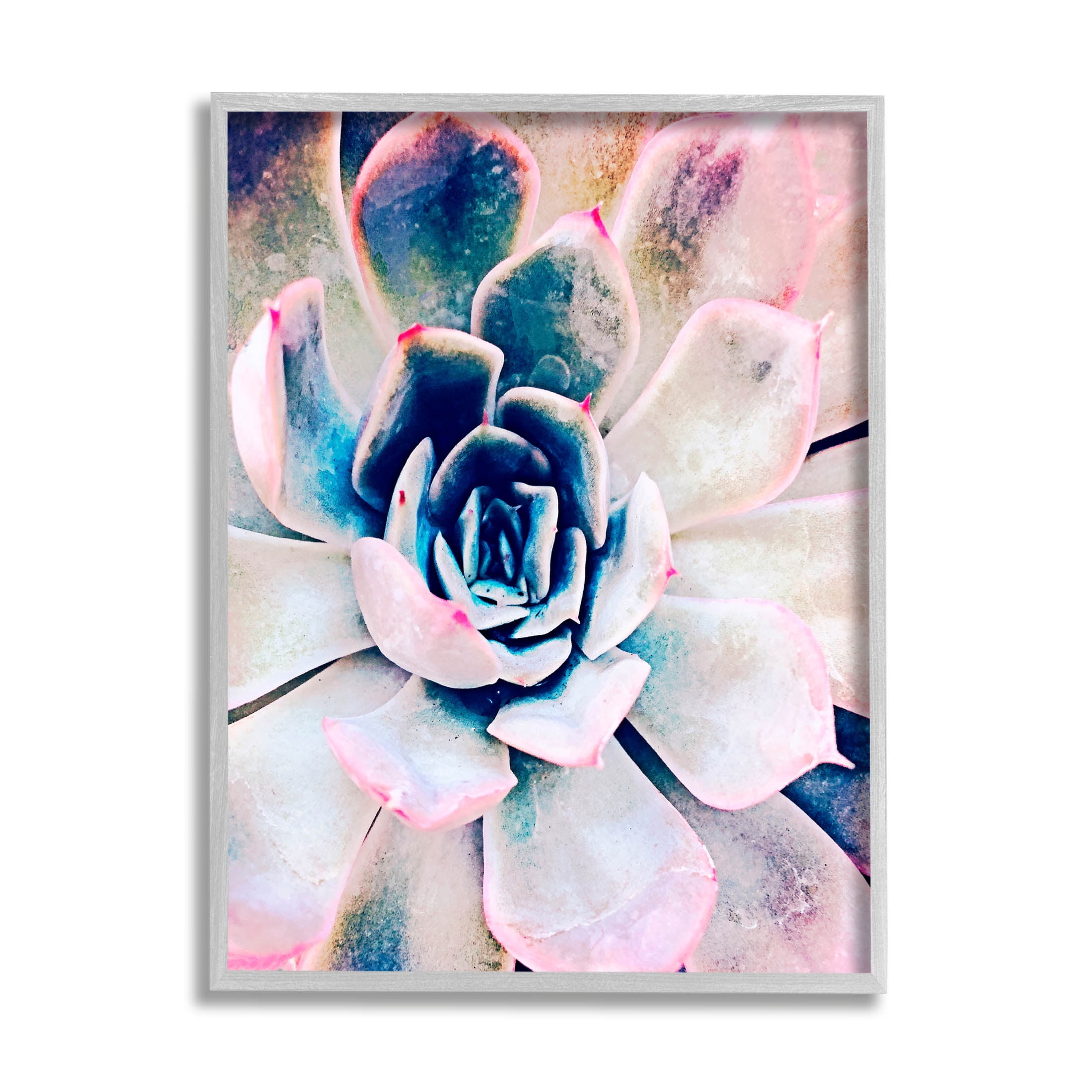 Modern Succulent Plant View Botanical & Floral Photograph Gray Framed Art Print Wall Art