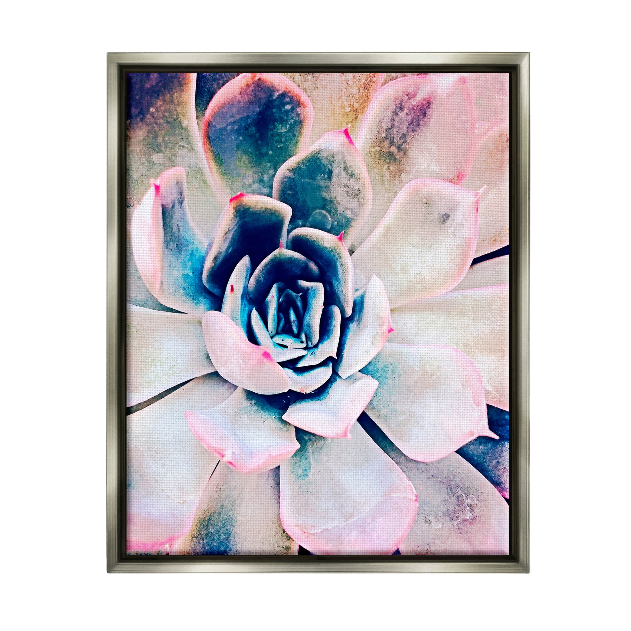 Modern Succulent Plant View Botanical & Floral Photograph Luster Gray Framed Art Print Wall Art