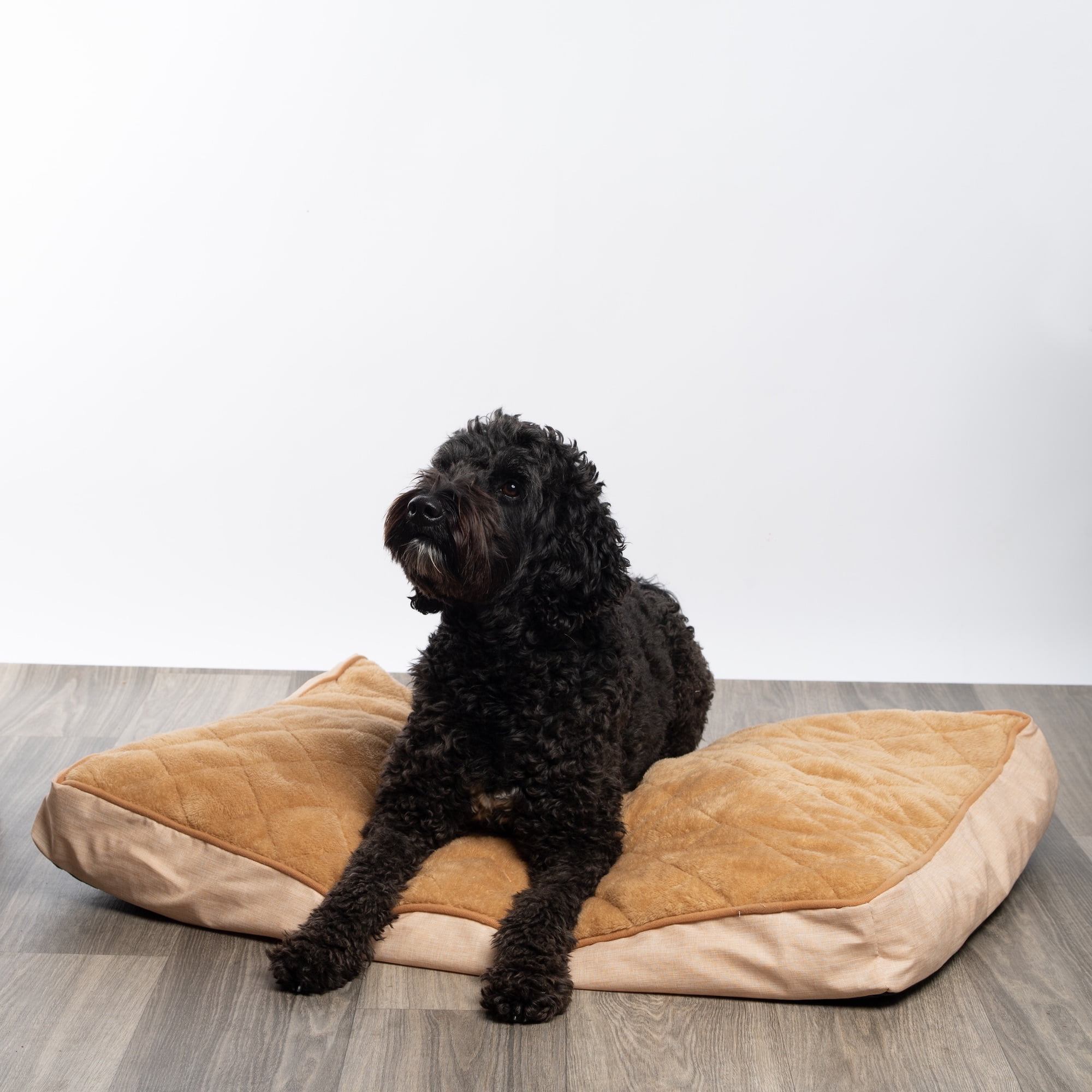 Modern Threads Large Orthopedic Memory Foam Plush Pillow Dog Bed, Linen