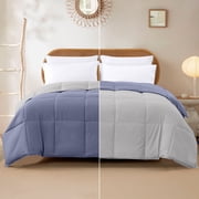 Modern Threads Reversible Blue & Silver Adult Down Alternative Comforter, Queen