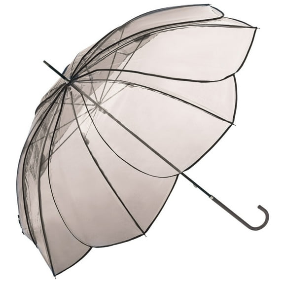 Modern Vinyl Clear Stick Umbrella Blooming Bouquet Gradation of Colors.Brown.