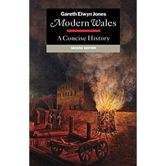 Pre-Owned Modern Wales: A Concise History (Paperback) 0521469457 9780521469456