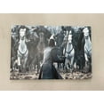 thumbnail image 1 of Modern Wall Art, Horse Art, Abstract Printed, Jon Snow Game of Thrones, Jon Snow Wall Decor, Famous Art, Game of Thrones Canvas, Canvas Wall Decor - Black Framed, 1 of 9