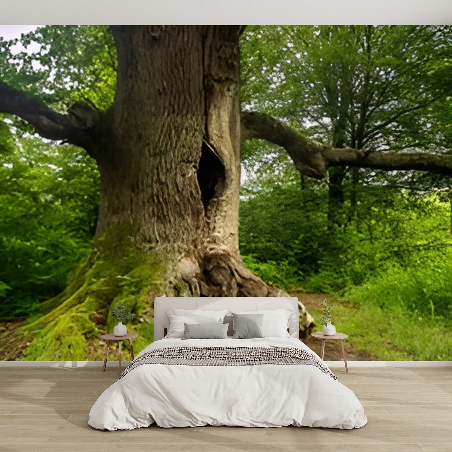 Modern Wallpaper Murals 3D Old tree Sababurg primeval forest Peel and ...