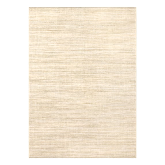 Modern Washable Area Rugs, Non Shedding Stain Resistant Throw Rugs with Rubber Backing, Low Pile Soft Minimalist Farmhouse Mats for Entryway, Bedroom
