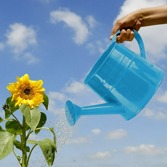Modern Indoor Outdoor Watering Can for Efficient Care Elegant Minimalist Design for Garden Lovers and Enthusiasts