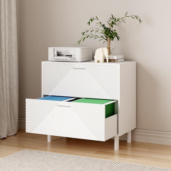 Modern Wood Decorative 2-Drawer Lateral Filing Cabinet, Printer Storage for Letter/A4 Documents