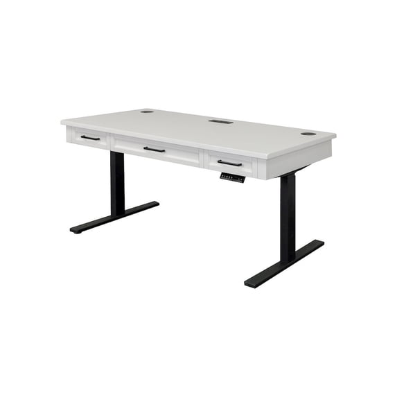 Modern Wood Electric Sit/Stand Desk Height Adjustable Table Desk White