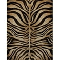 thumbnail image 1 of Modern Zebra Stripes Area Rug 3x5 Animal Skin Print Carpet- Actual 3' 3"x4' 7", 1 of 4